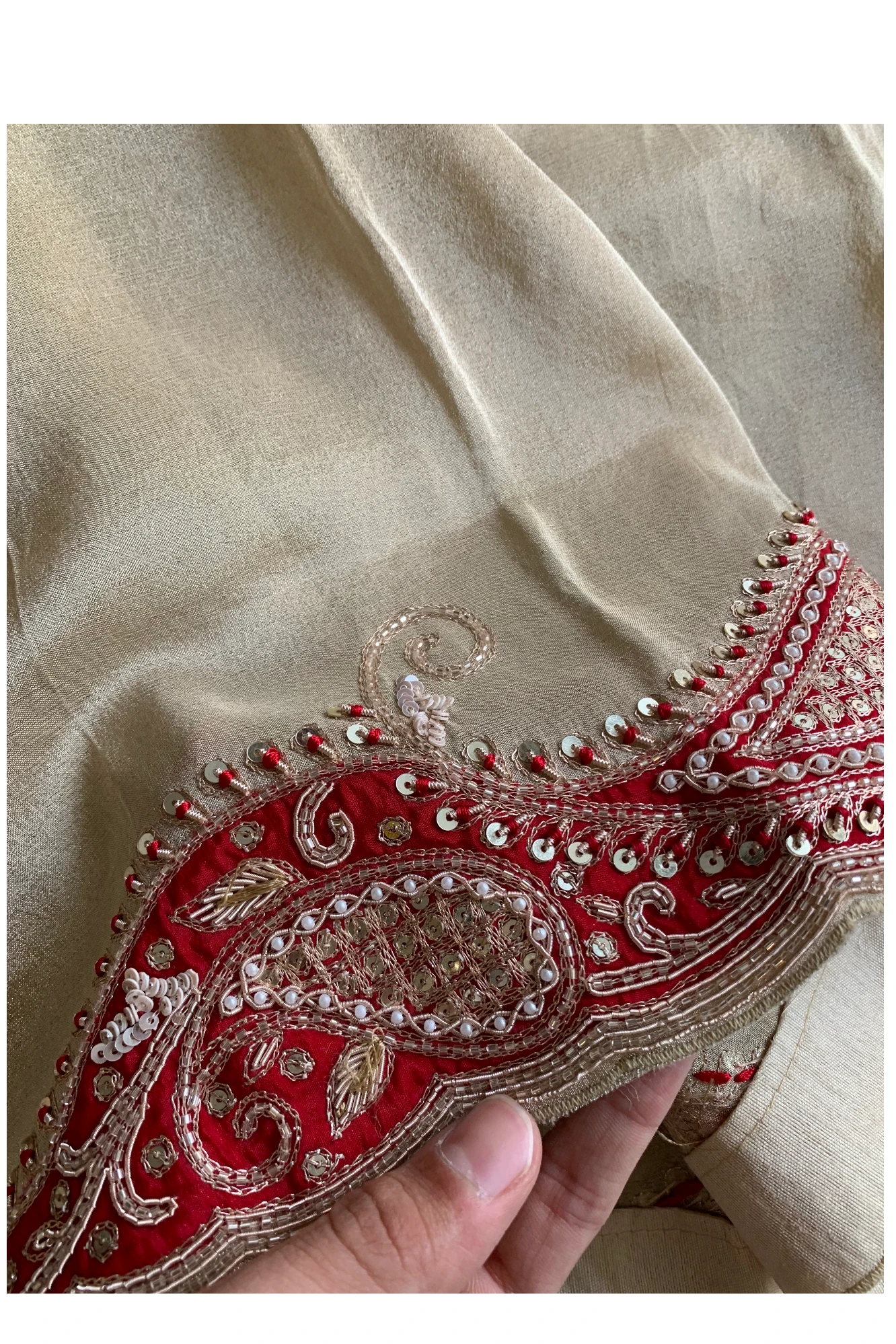 Beige Tissue Organza Saree 5657 12