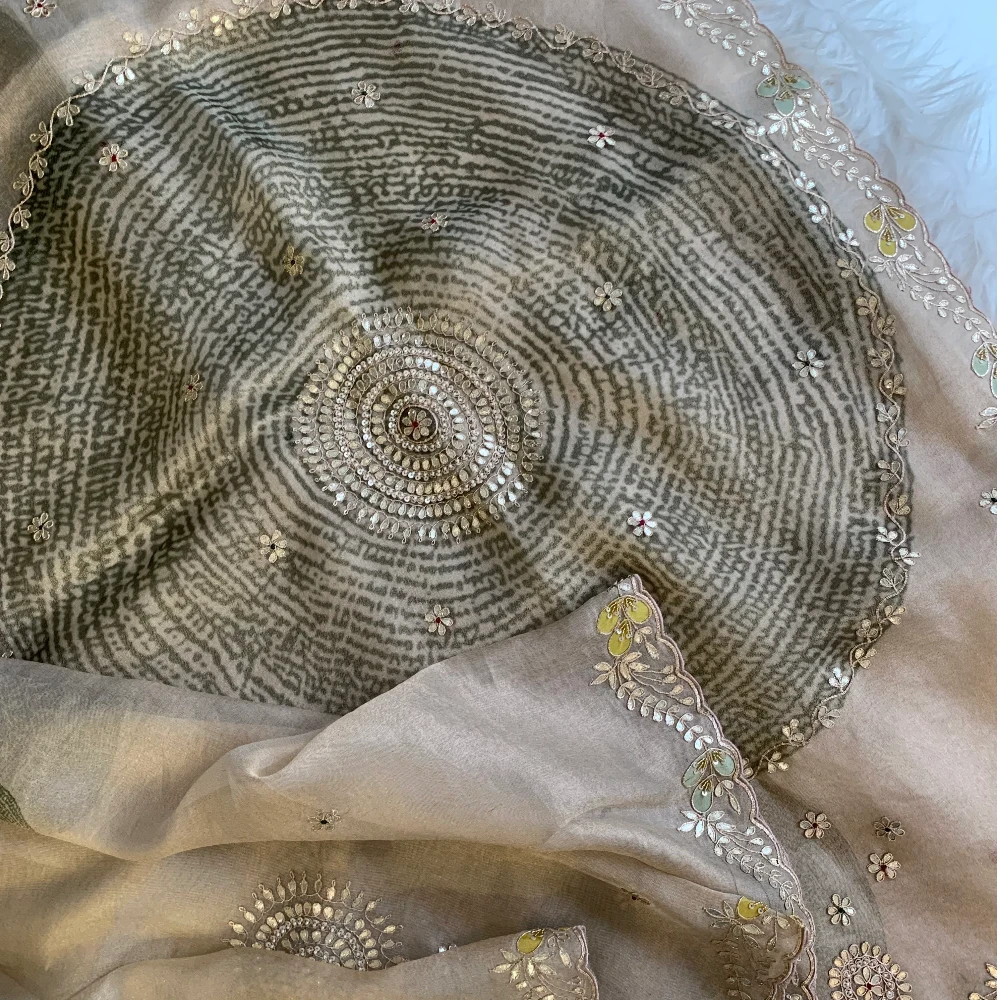 Gota Patti Organza Saree with Tie Dye Effect (beige+Green) 5838 01