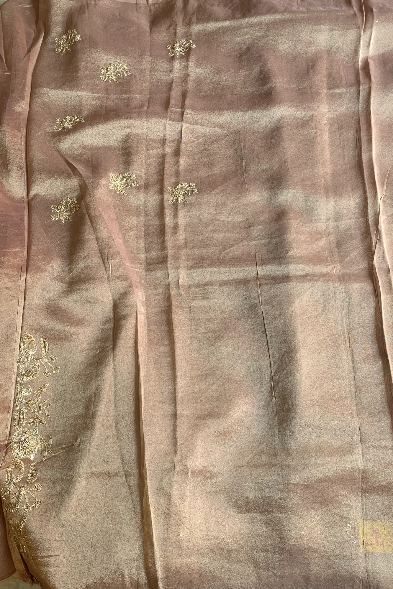 Beige Aari Thari Embellished Tissue Saree 5760 01