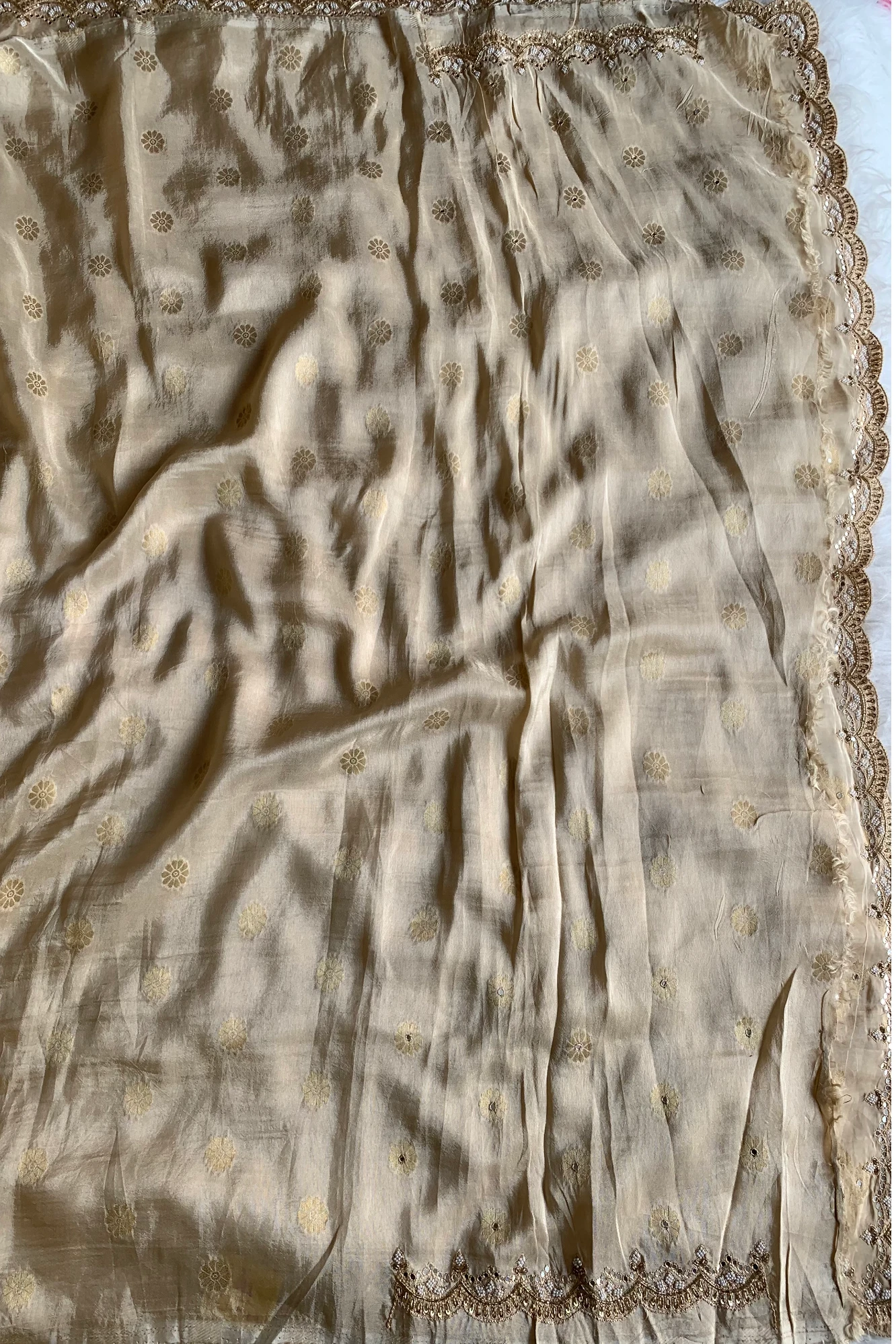Ivory Banarasi Woven Habutai Silk Saree 5176 02