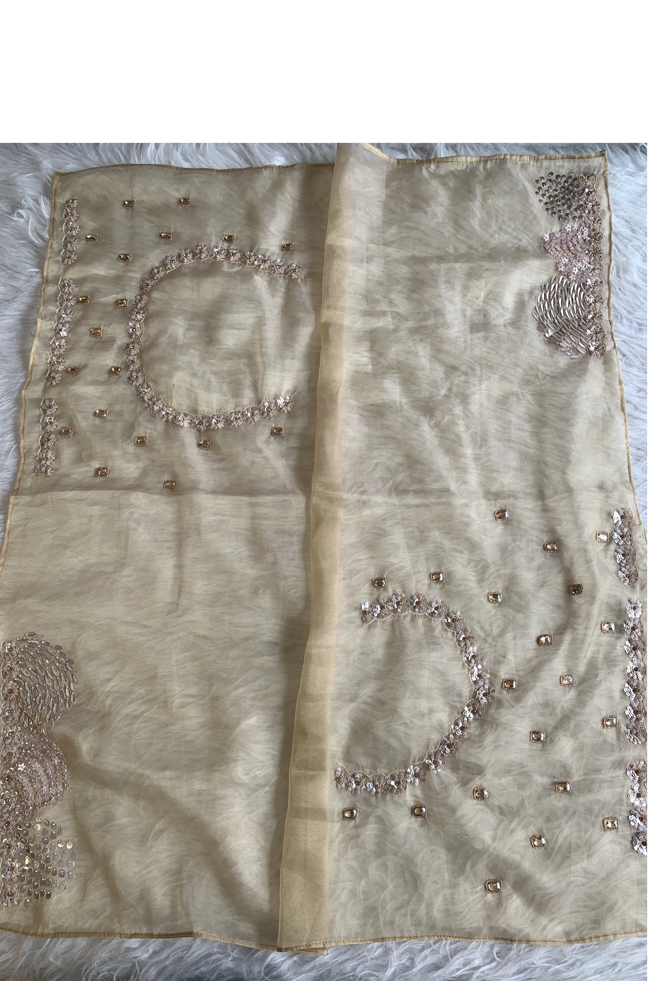 Beige Organza Sequin Saree 5798 05