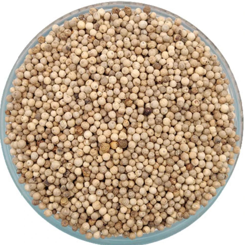 White Pepper வெள்ளை மிளகு