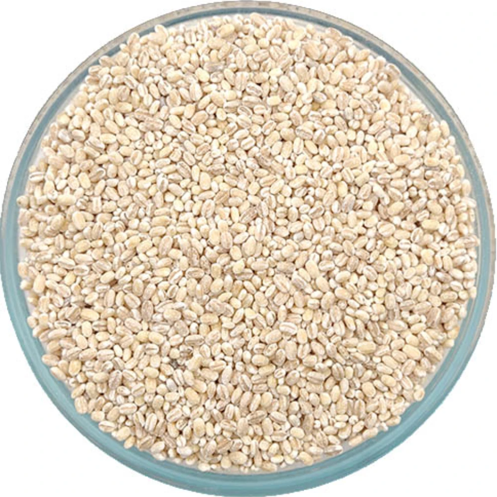 Barley Rice பார்லி அரிசி