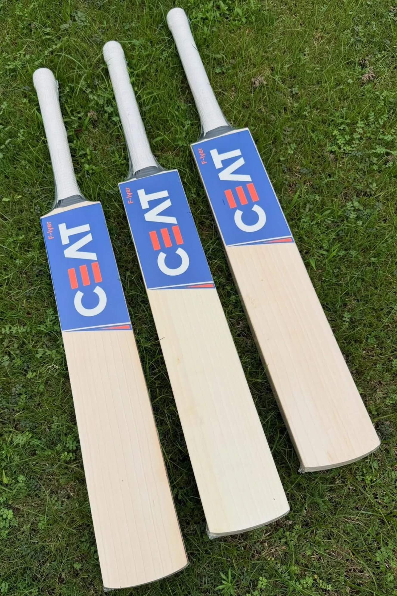 CEAT IYER English Willow Bat