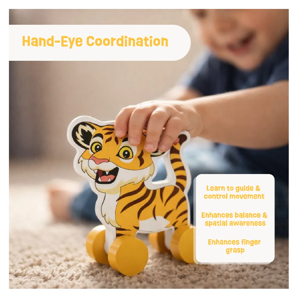 Push Toys- Animals(set of 3)