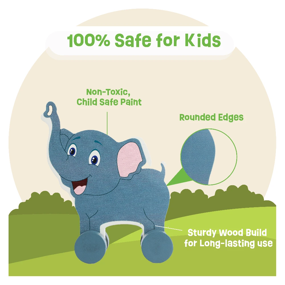 Push Toys- Animals(set of 3)