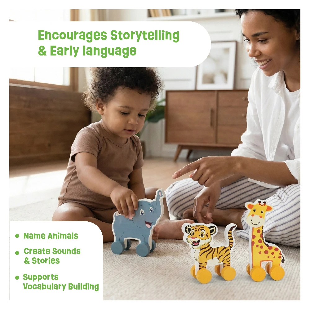 Push Toys- Animals(set of 3)