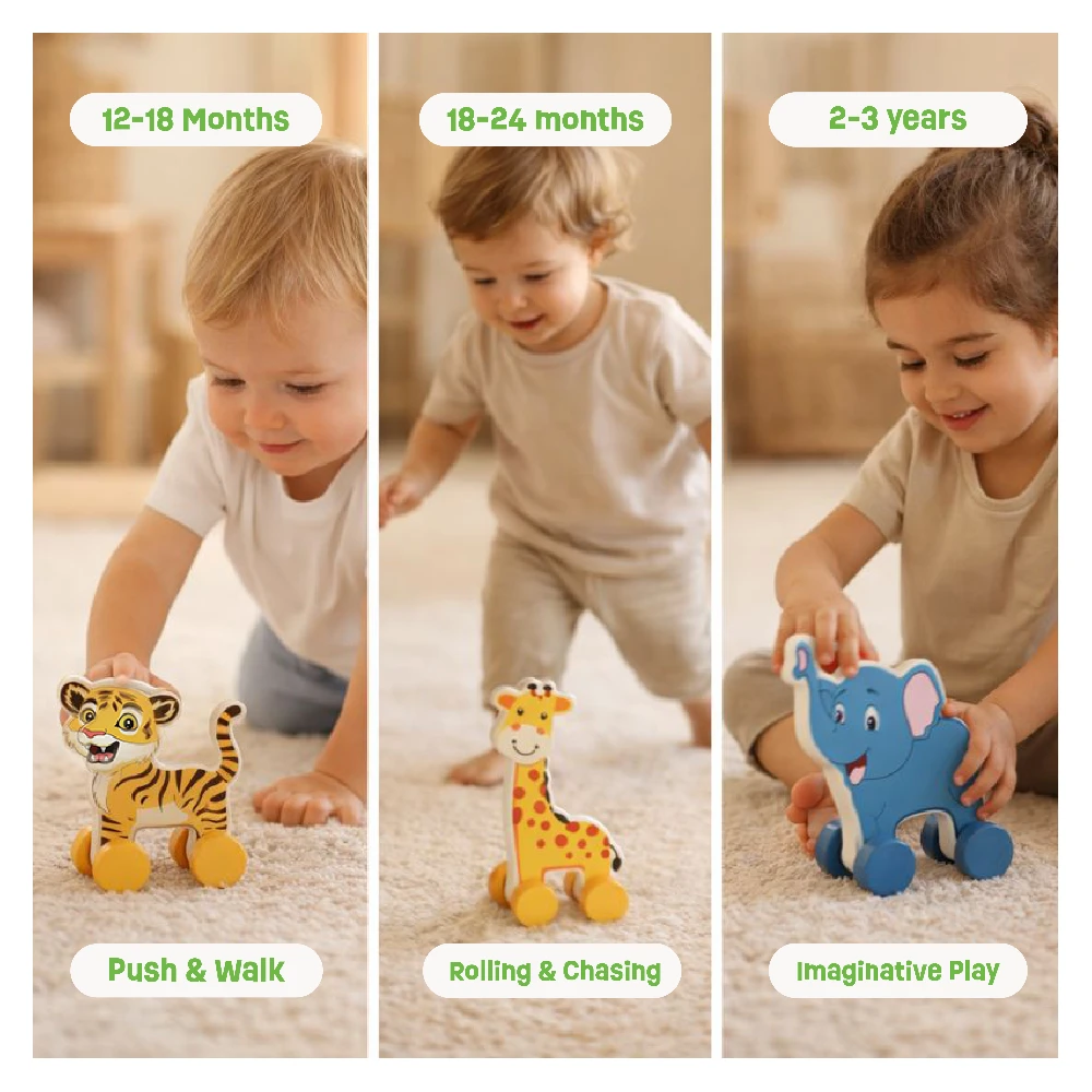 Push Toys- Animals(set of 3)