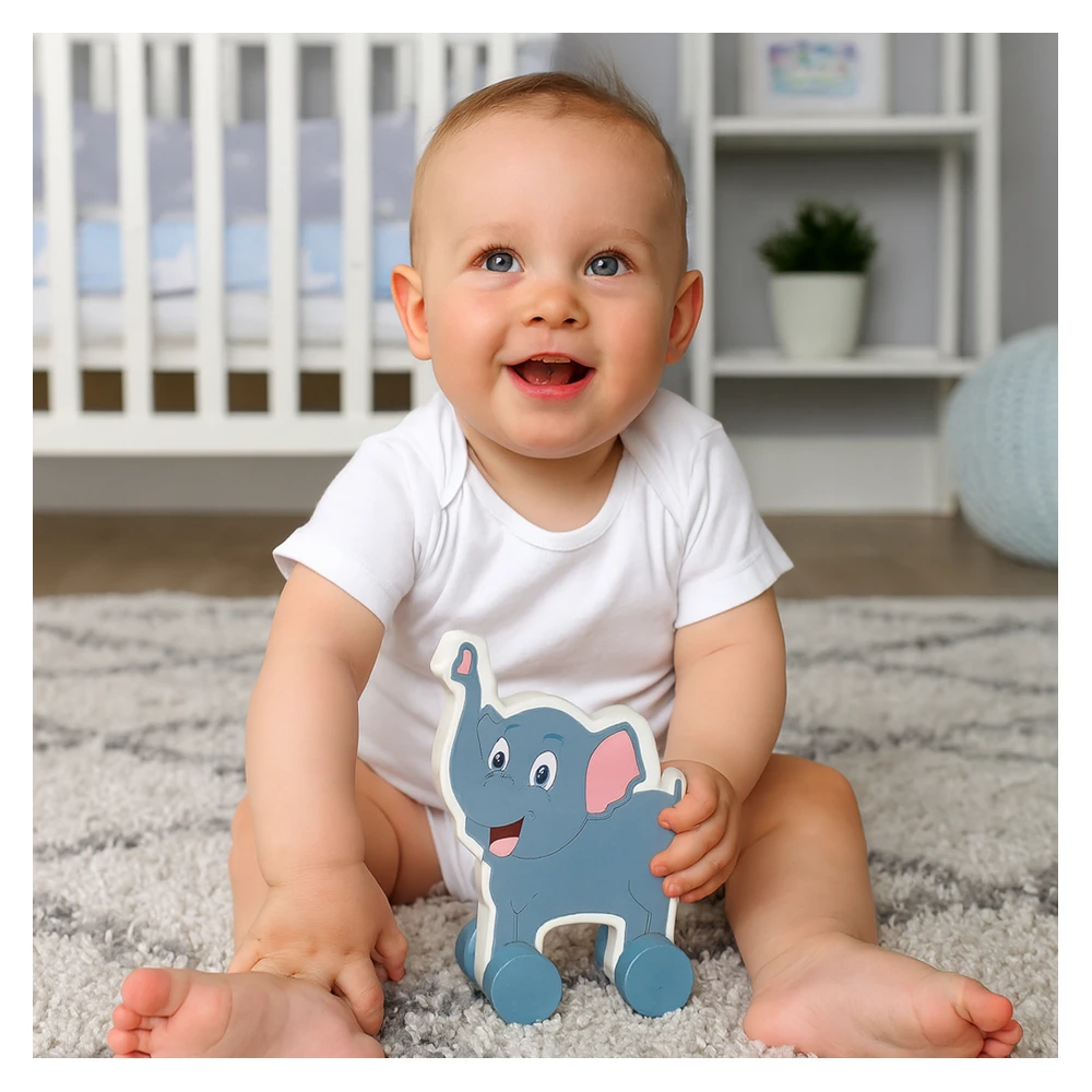 Push Toys- Animals(set of 3)