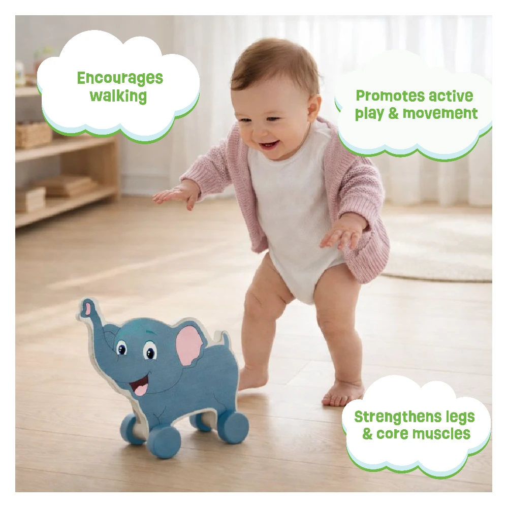 Push Toys- Animals(set of 3)