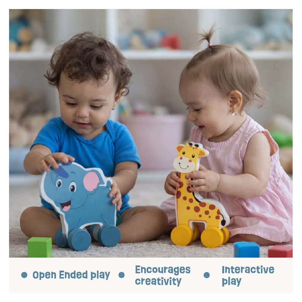 Push Toys- Animals(set of 3)