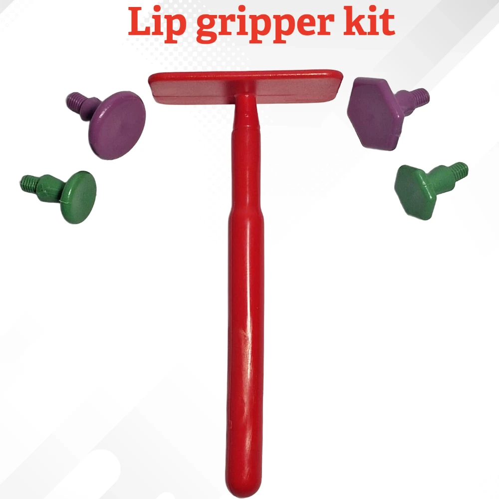 Lip gripper kit