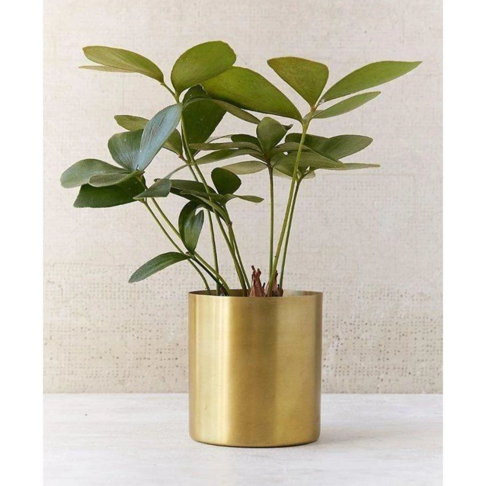 GOLD PLANTERS - SET OF 2 (The small one: H - 4 Inches D - 3.75 Inches The big one: H - 5 Inches D - 4.75 Inches)