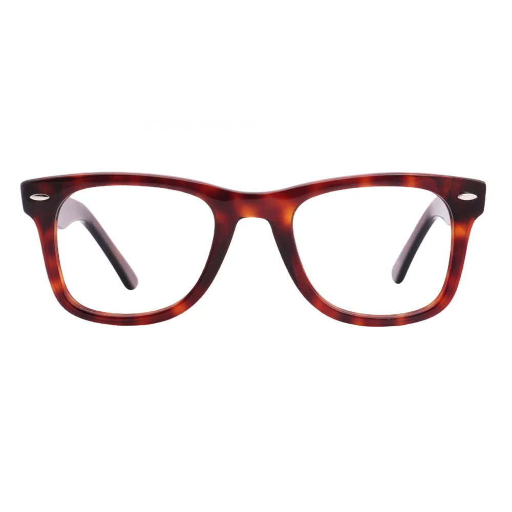 HENRY CARTER HC6040 C29 WAYFARER FRAME