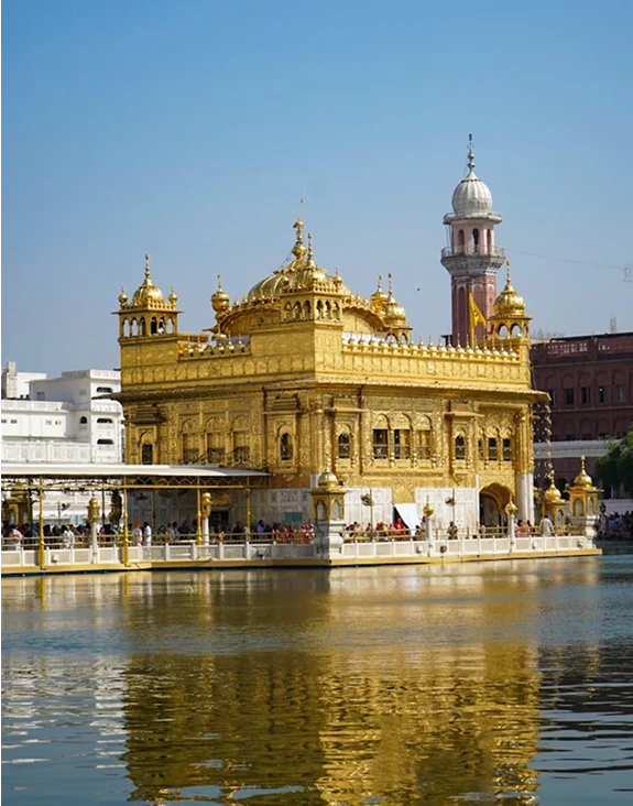 5 Must-Have Products for Hair & Beard Care