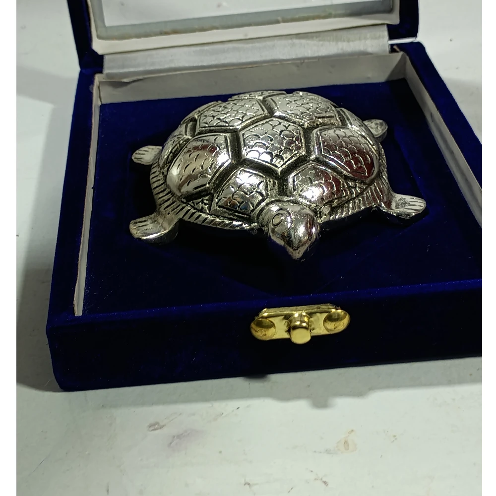 Tortoise-5No-Z04584