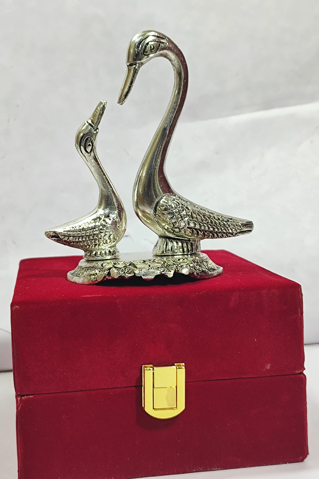 Couple Swan-5No-Z12939