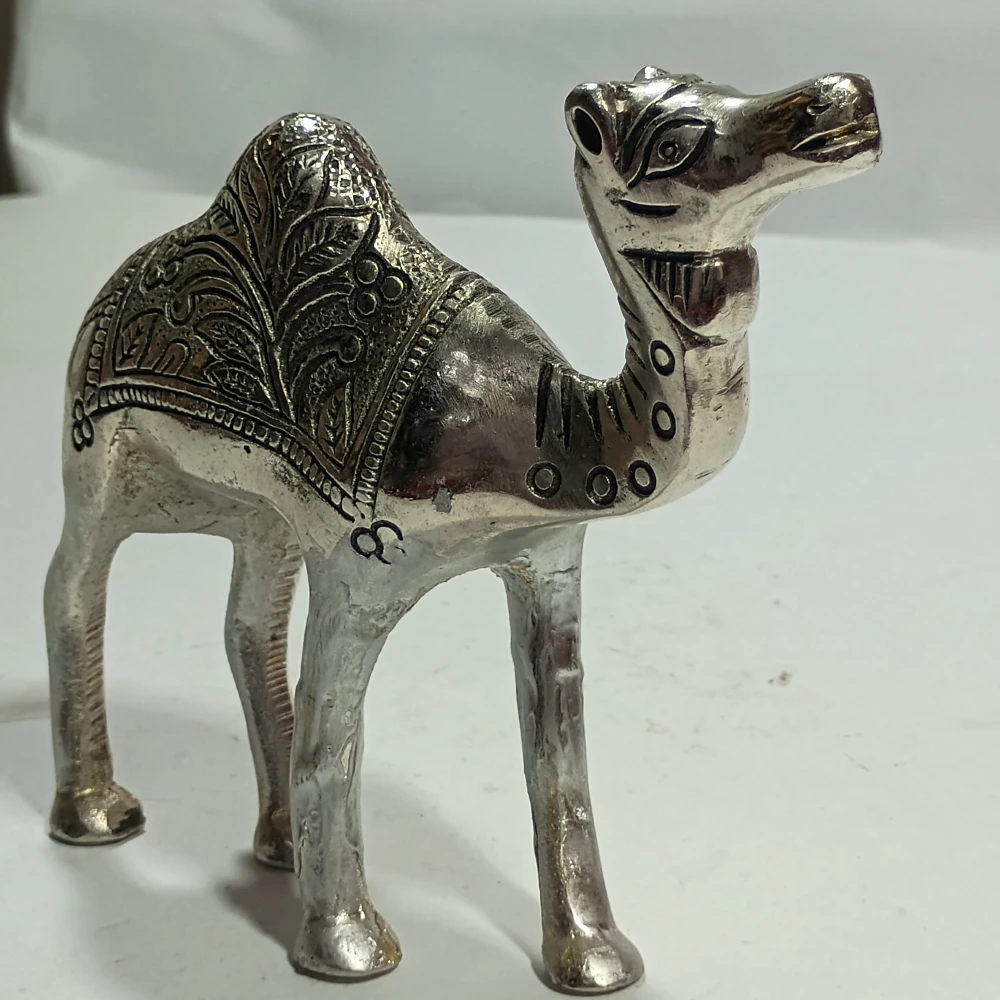 Camel-5.5No-Z01515