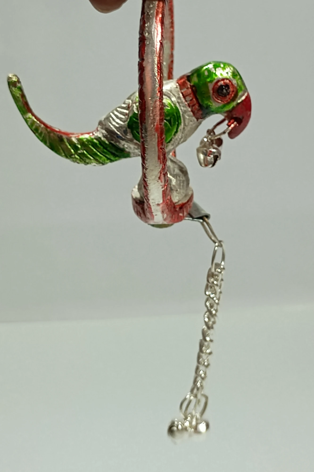 Parrot with ring-3No-Z00293