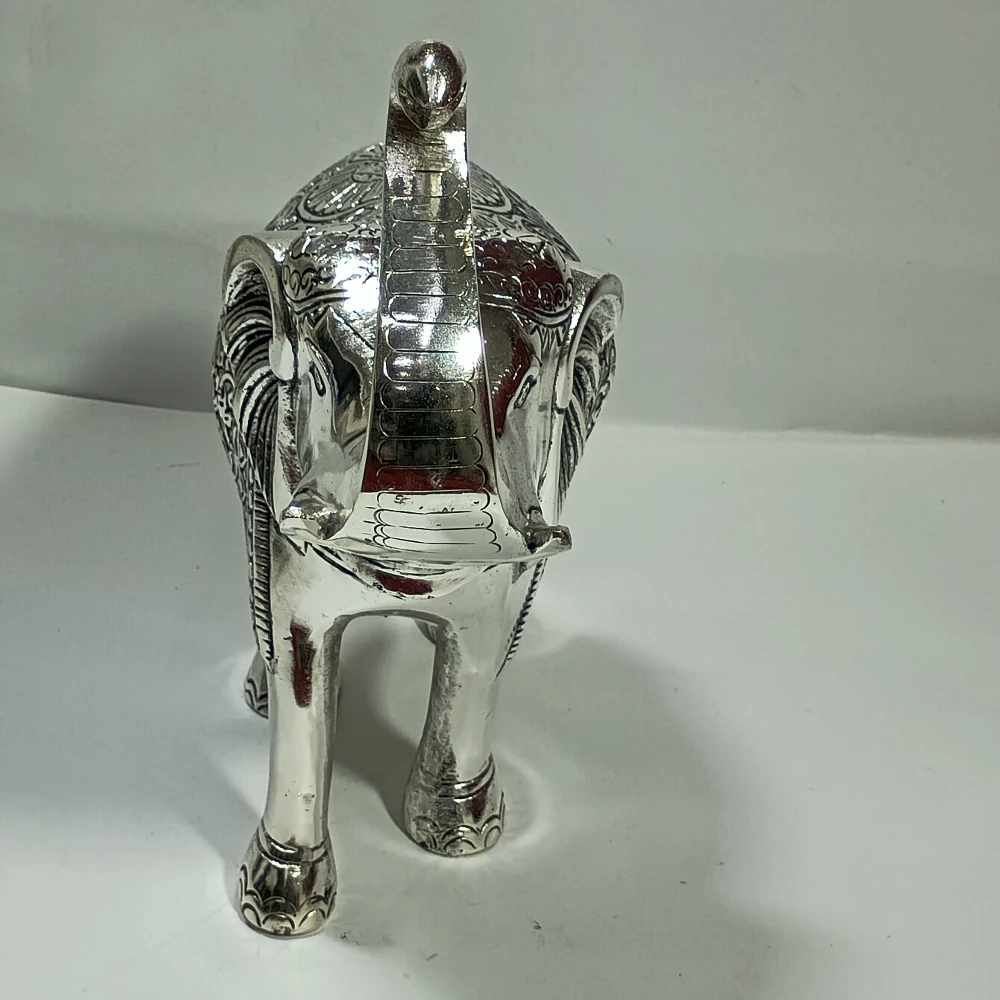 Elephant-11.5No-Z02550