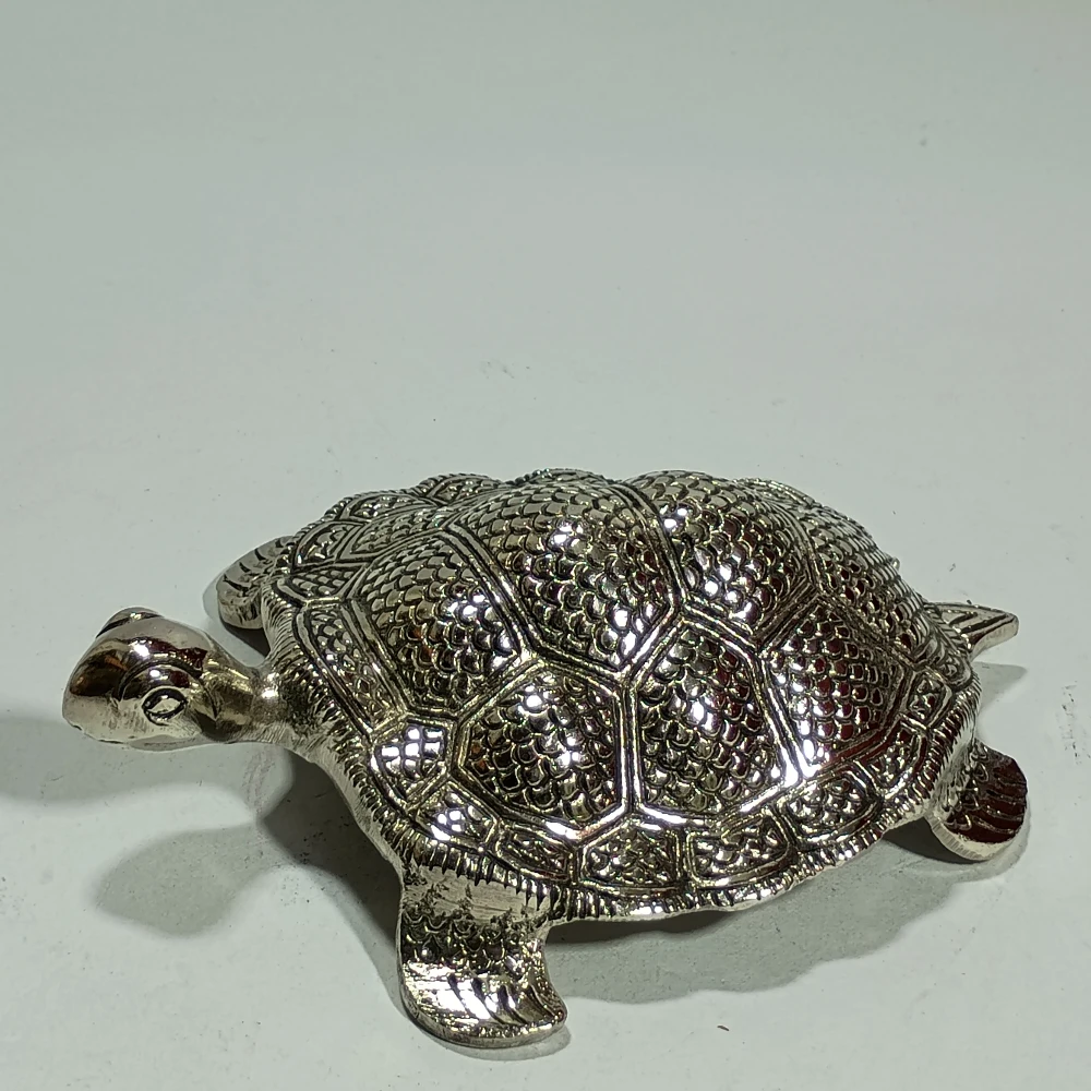 Tortoise-5No-Z11366