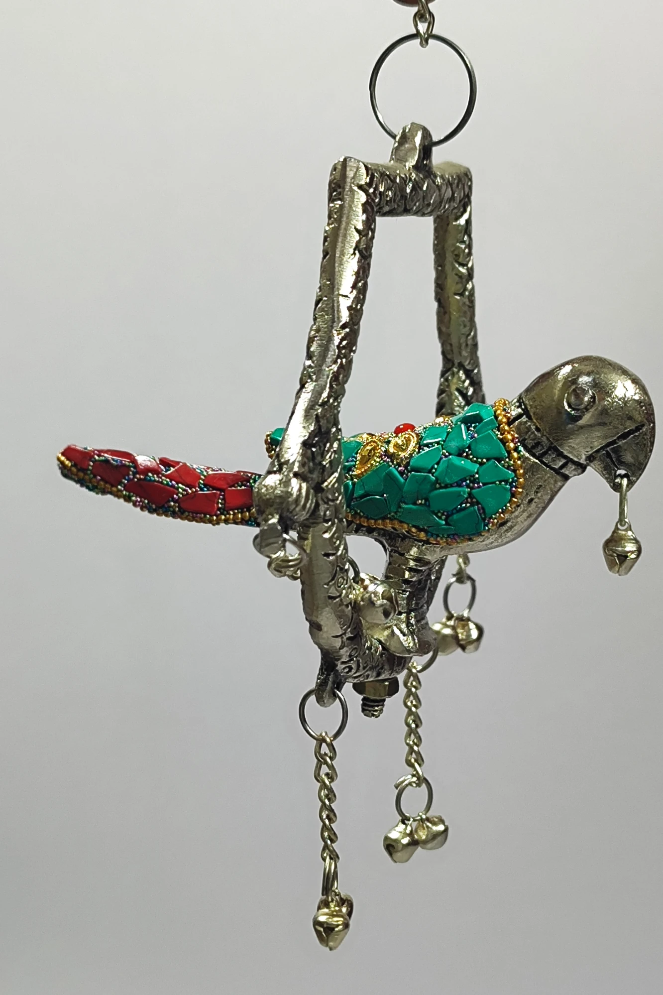 Parrot-5No-Z12962