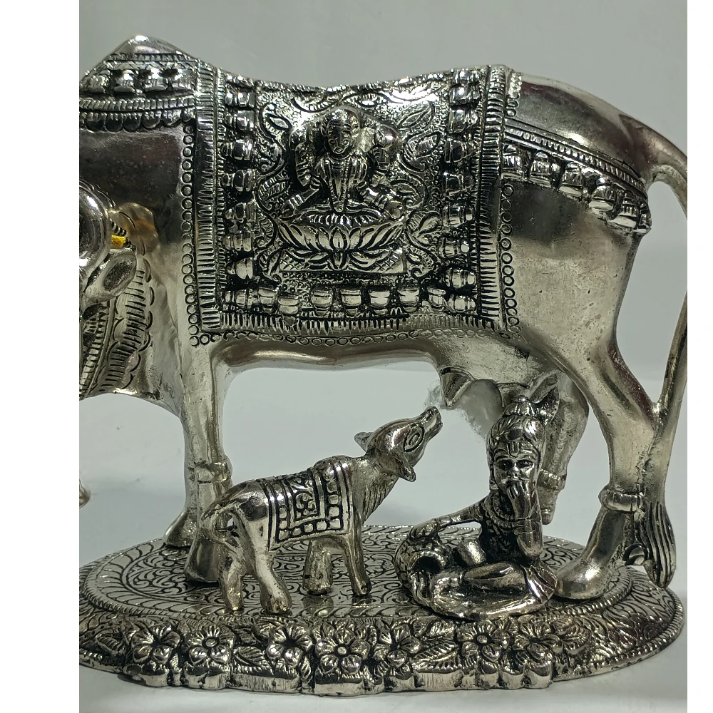 CowCalf-6.5No-Z12474