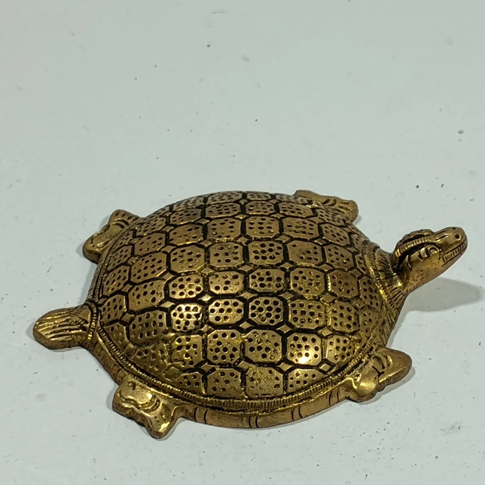 Tortoise-4No-Z08157