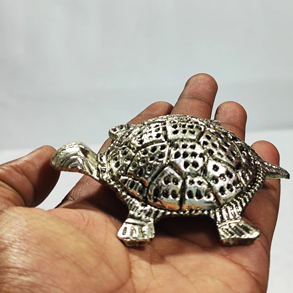 Tortoise-3.5No-Z00363