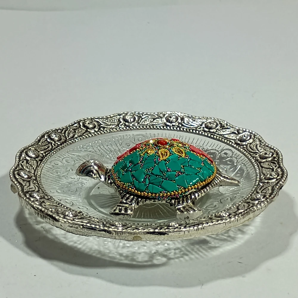 Tortoise with plate-5.5No-Z08057