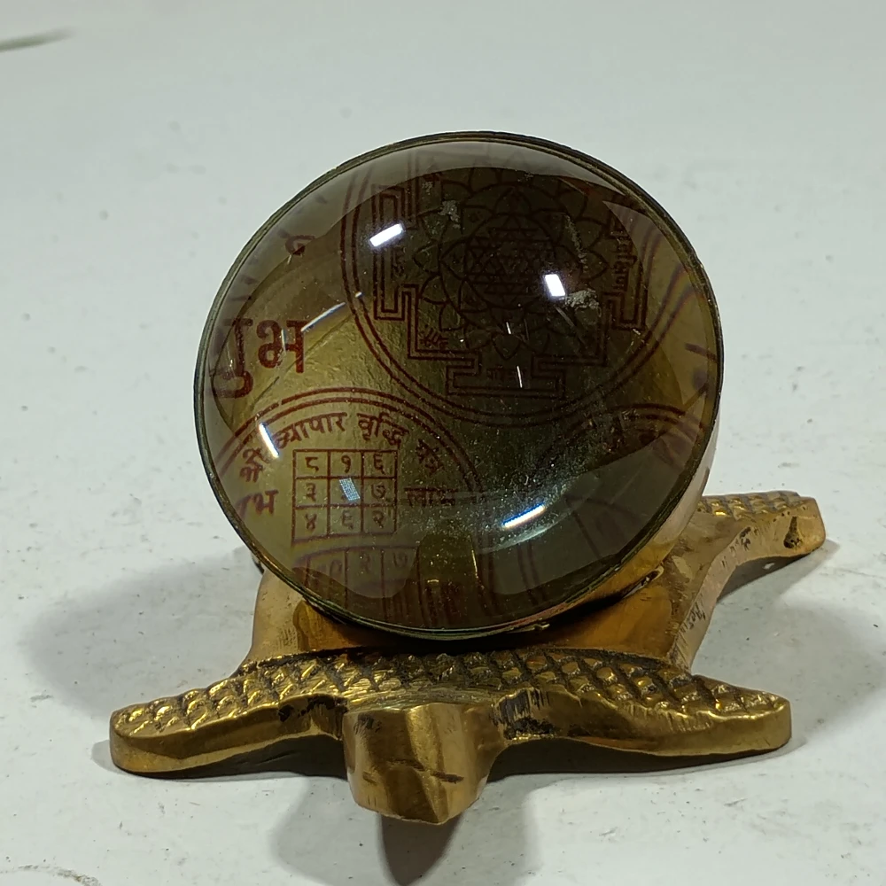Tortoise with manify glass-3.5No-Z06305