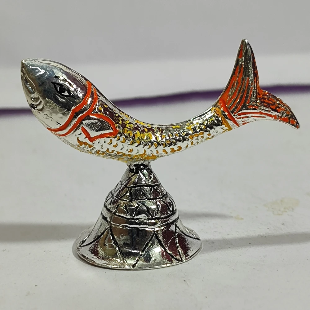 Fish-3.5No-Z11155