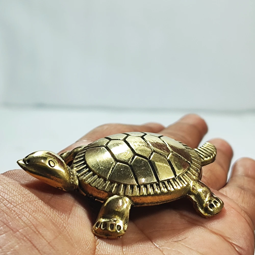 Tortoise-2.75-Z11454