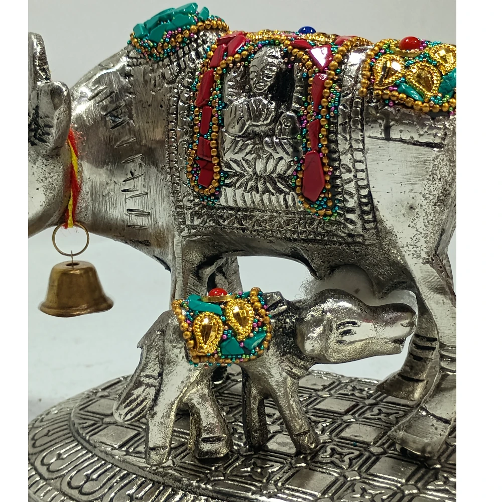 Cow Claf-5.5No-Z11539