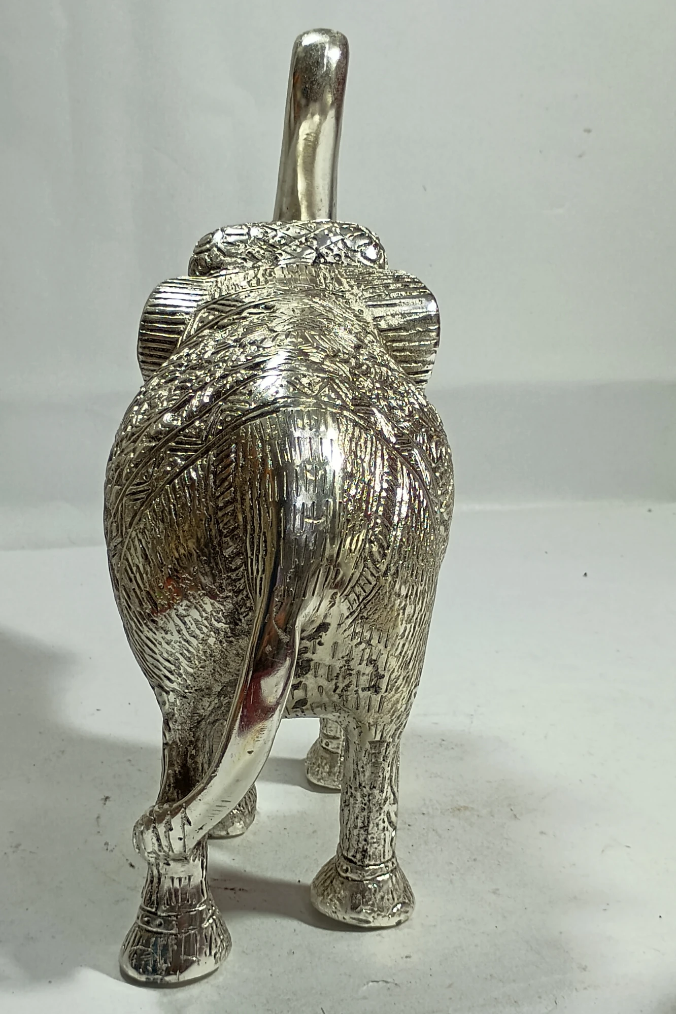 Elephant-11No-Z05341