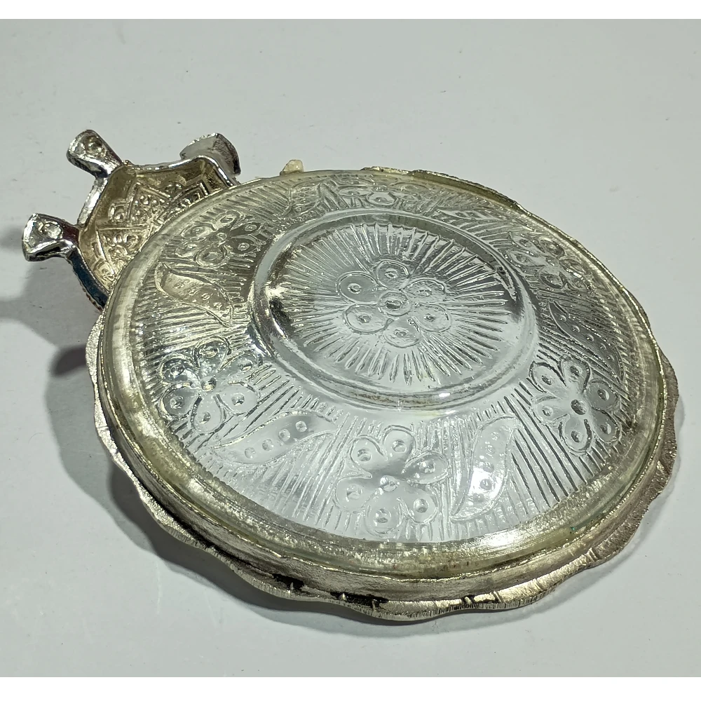 Tortoise with plate-5.5No-Z08057