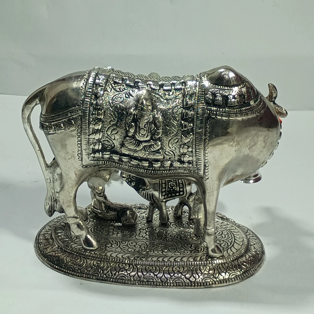 CowCalf-6.5No-Z12474