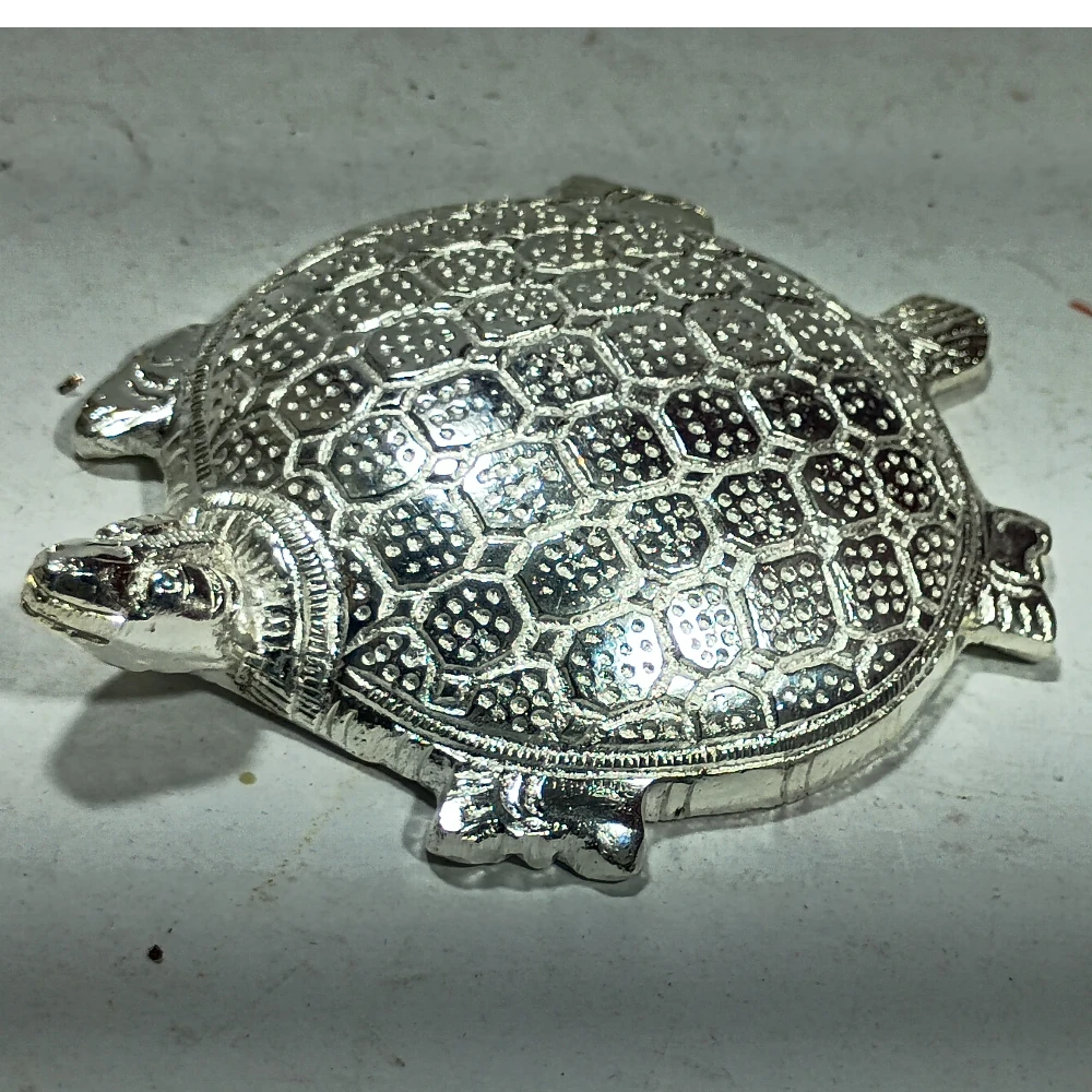 Tortoise-4No-Z12283