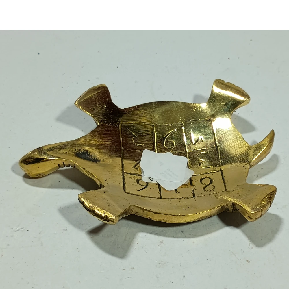 Tortoise-5.5No-Z11457