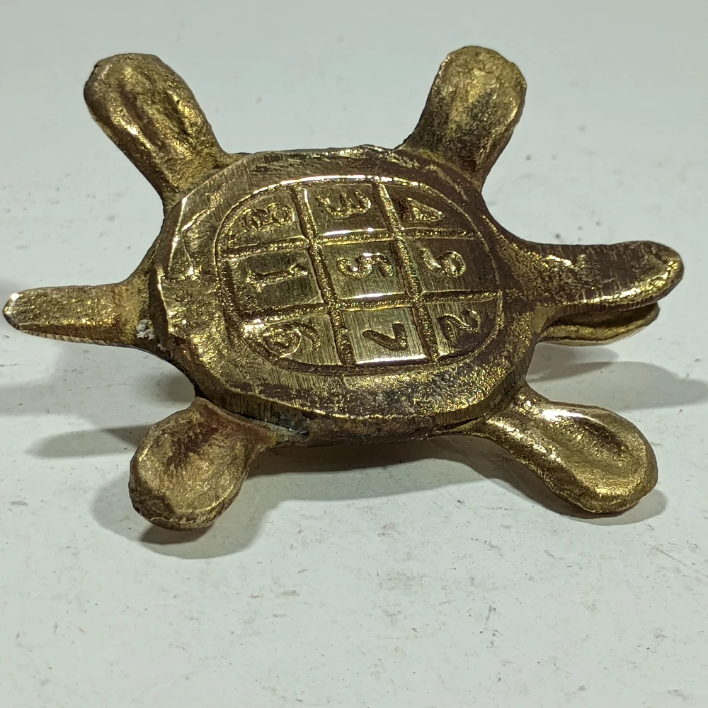 Tortoise-1.5No-Z07769