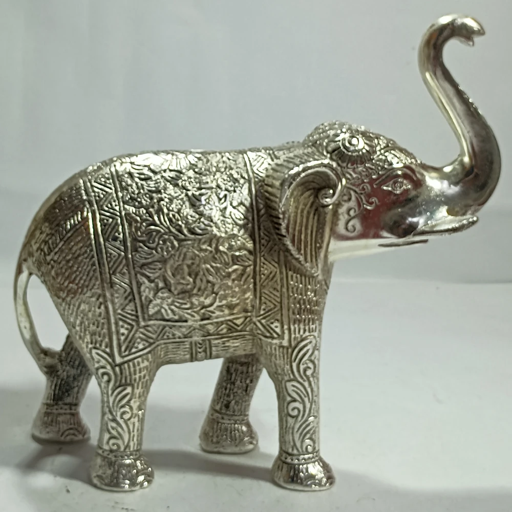 Elephant-11No-Z05341