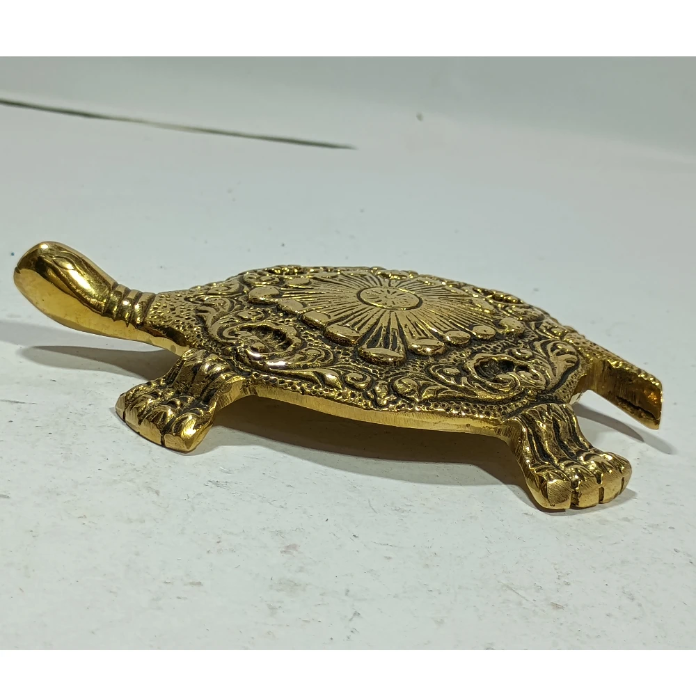 Tortoise-5.5No-Z11457