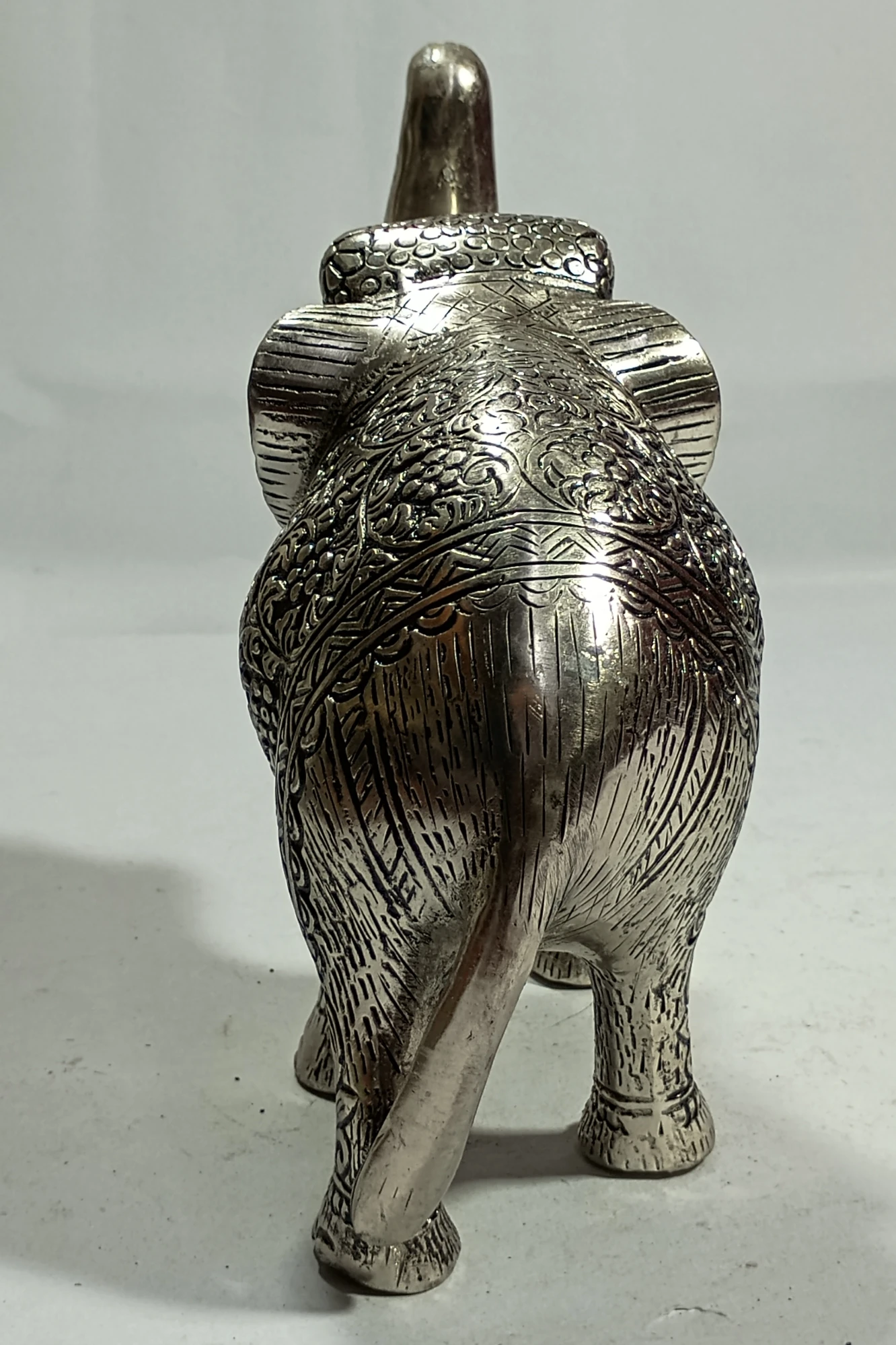 Elephant-7No-Z01854