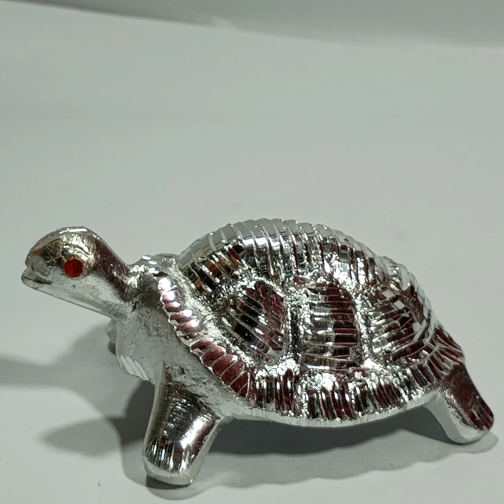 Tortoise-1No-Z06613