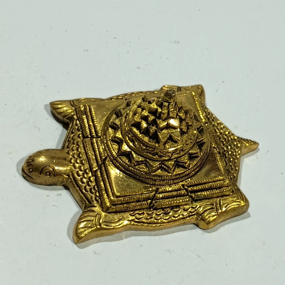 Tortoise-1.5No-Z11456