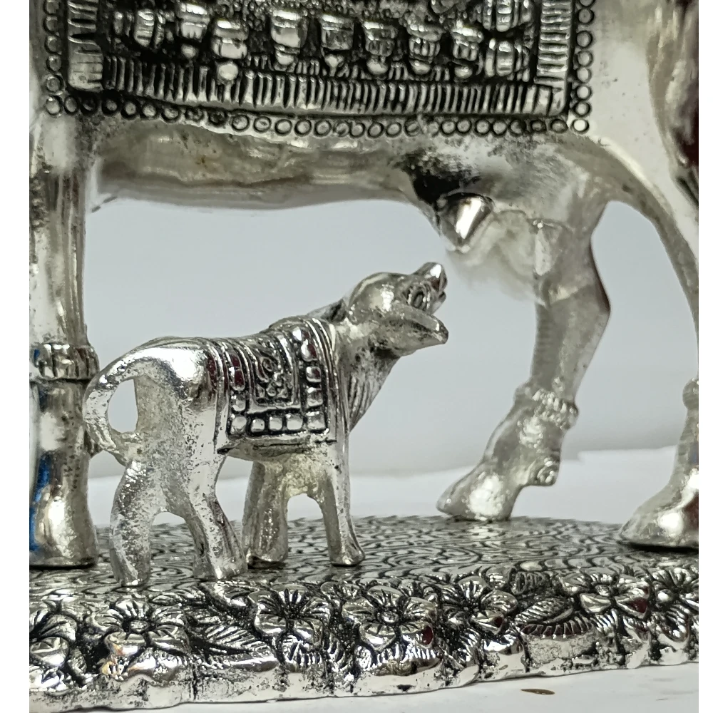 Cow Claf-8.5No-Z06425