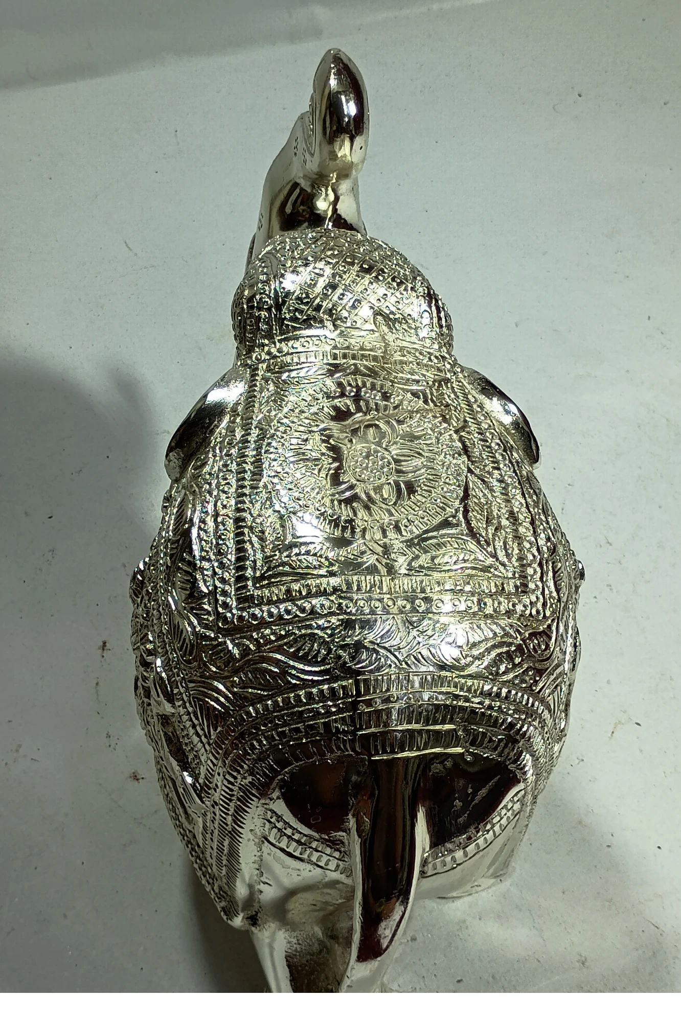 Elephant-8No-Z12157