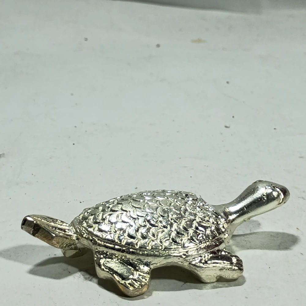 Tortoise-3.5No-Z12286