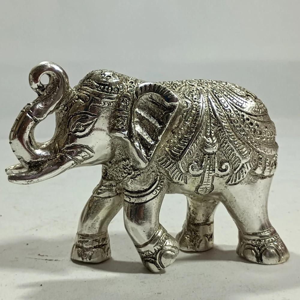 Elephant-4No-Z12081