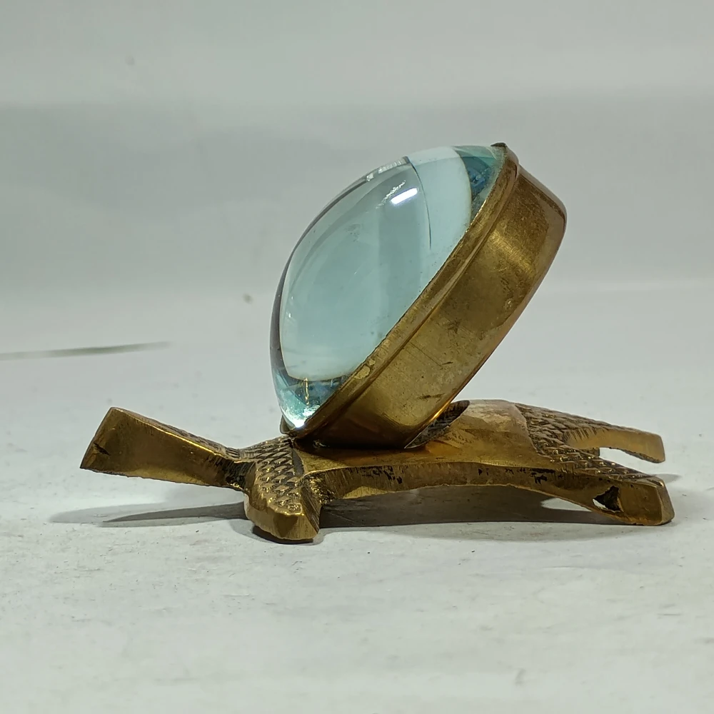 Tortoise with manify glass-3.5No-Z06305